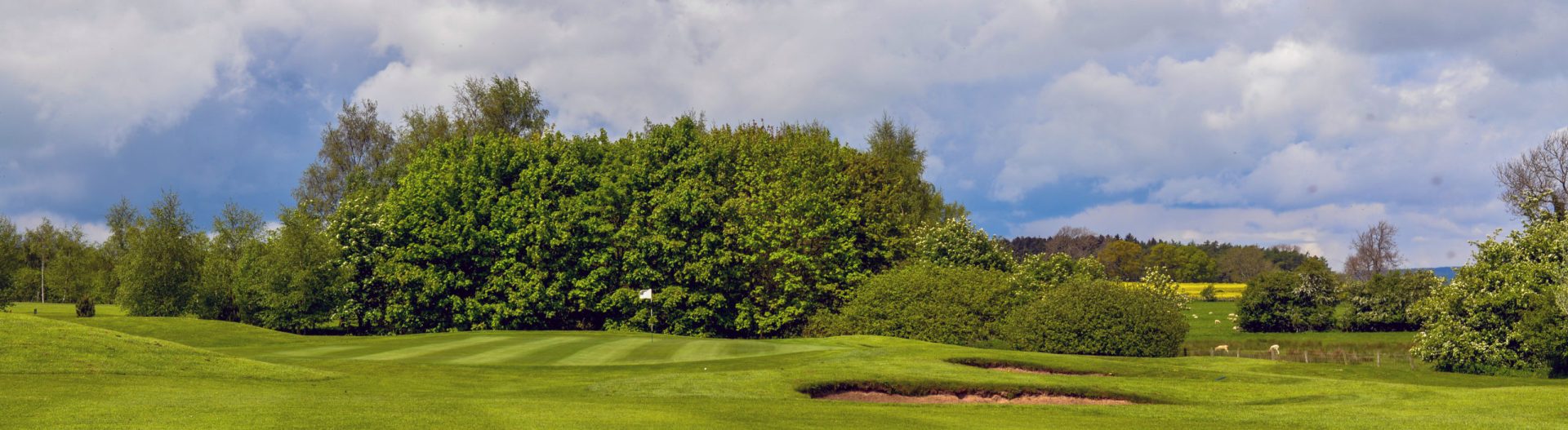 Bedale Golf Course - Image 7
